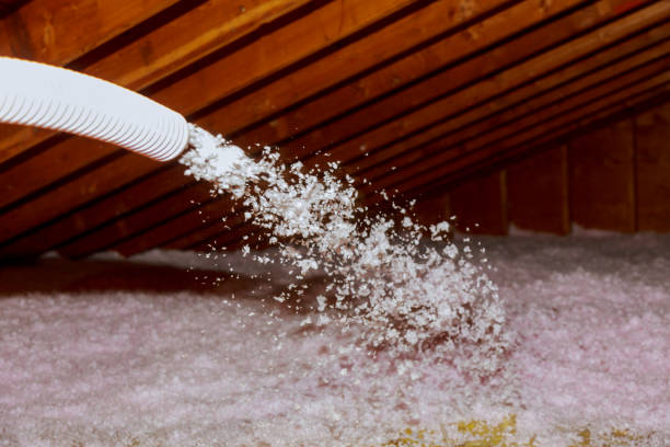Trusted Merrill, IA Insulation Contractor Experts