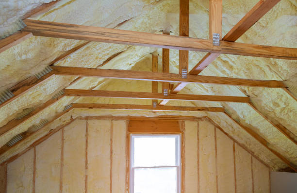 Best Insulation Maintenance and Repair in Merrill, IA