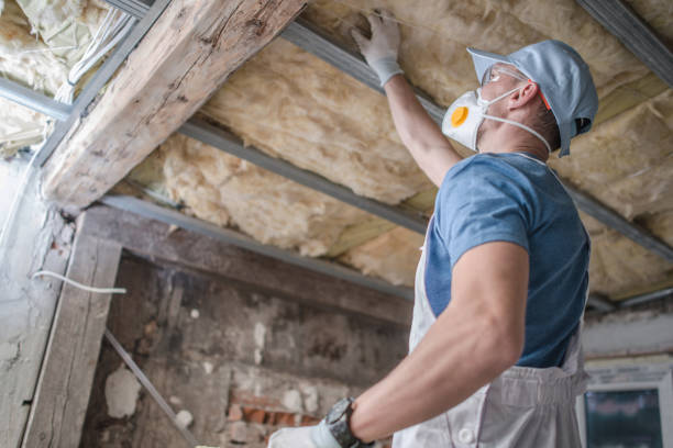 Best Spray Foam Insulation in Merrill, IA