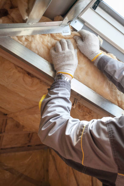 Best Commercial Insulation in Merrill, IA