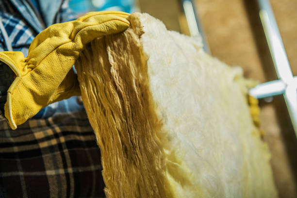 Best Specialized Insulation Services in Merrill, IA